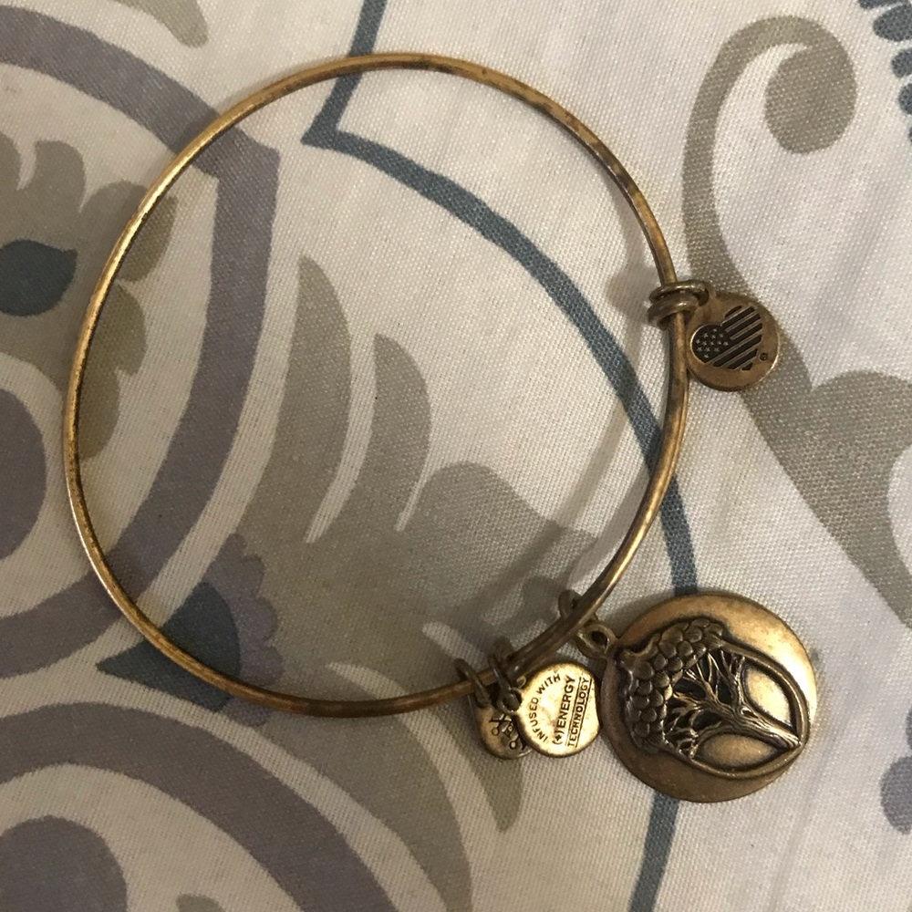 Alex & ani bracelet